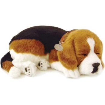 PERFECT PETZZZ Filhote Cachorro Beagle